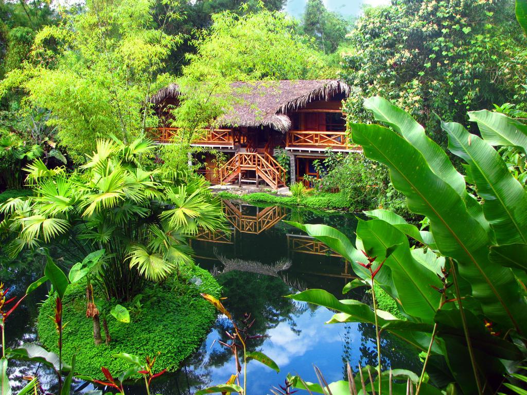 Mindo Lago