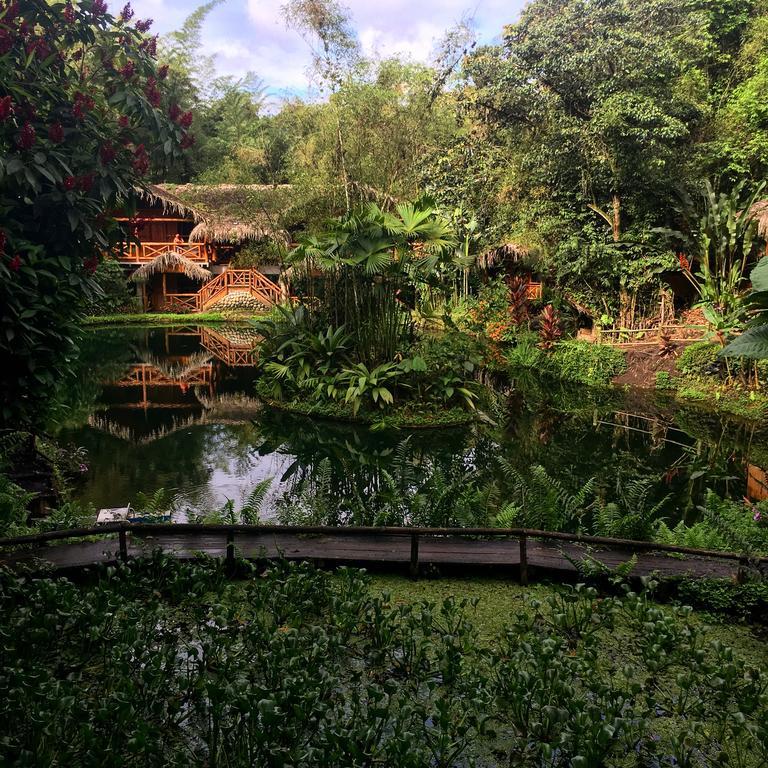 Mindo Lago