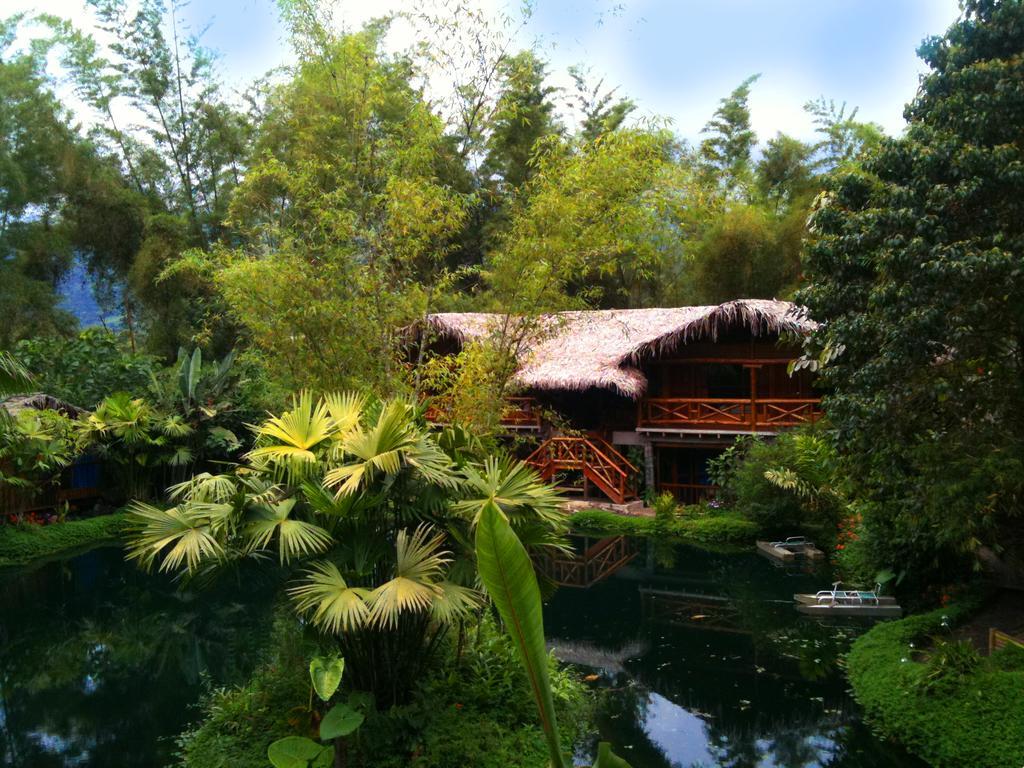 Mindo Lago