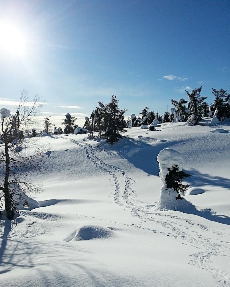 Seita Holiday Resort