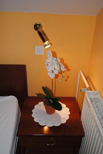 Hotel Roskar