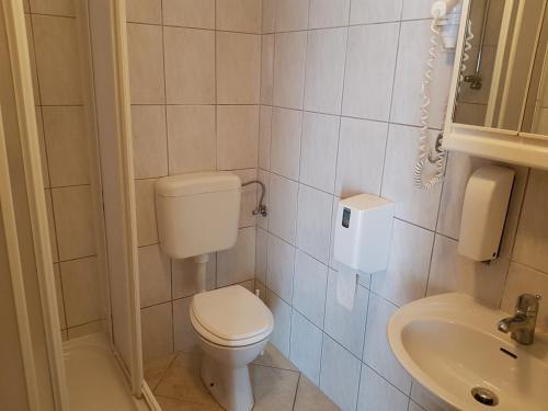 Hotel Roskar