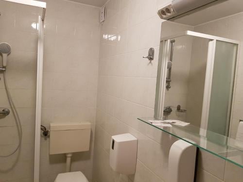 Hotel Roskar