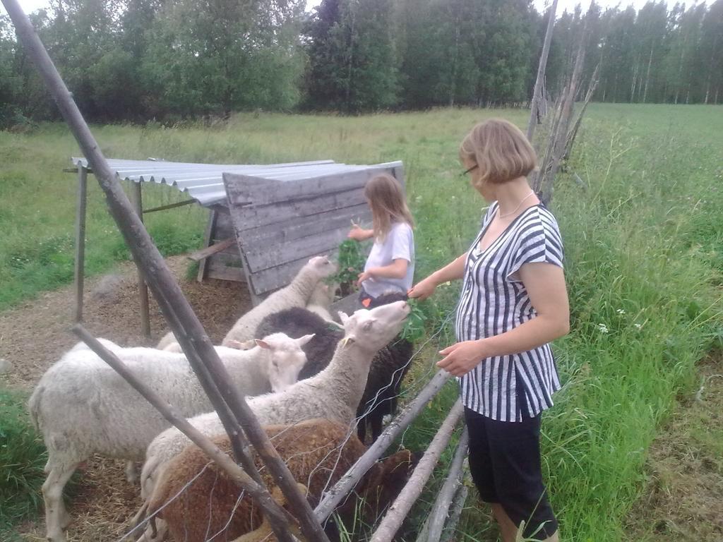 Hyvölän Talo