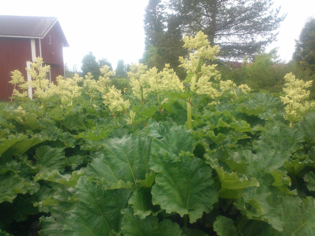 Hyvölän Talo
