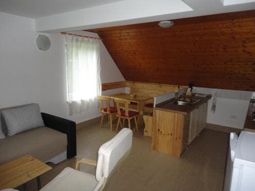 Apartments Bor