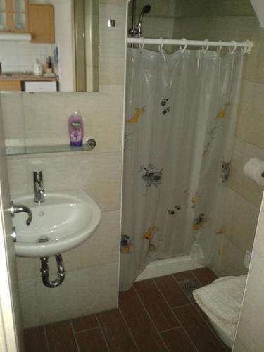 Apartments Bor