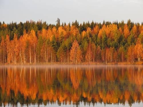 Honkiniemi Accommodations