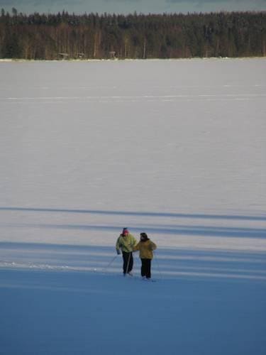 Honkiniemi Accommodations