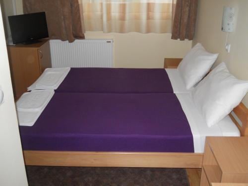 Garni hotel Alma