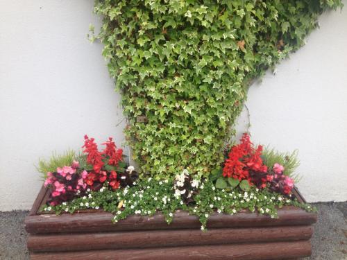 Carragh House B&B