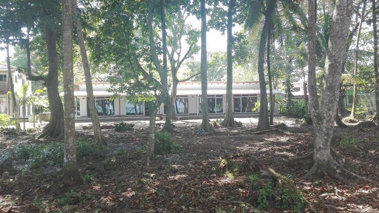 Cahuita Inn