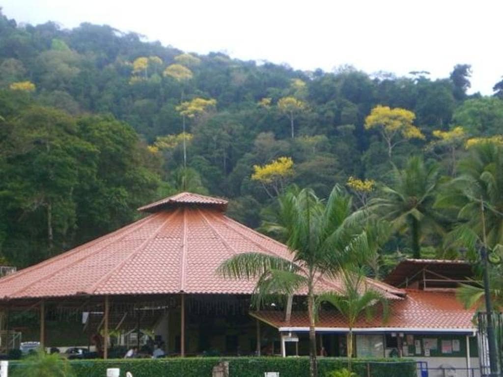 Samoa del Sur