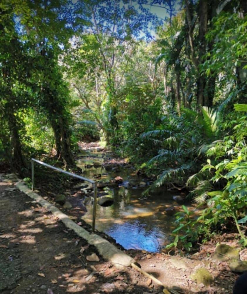 Cabinas Los Laureles