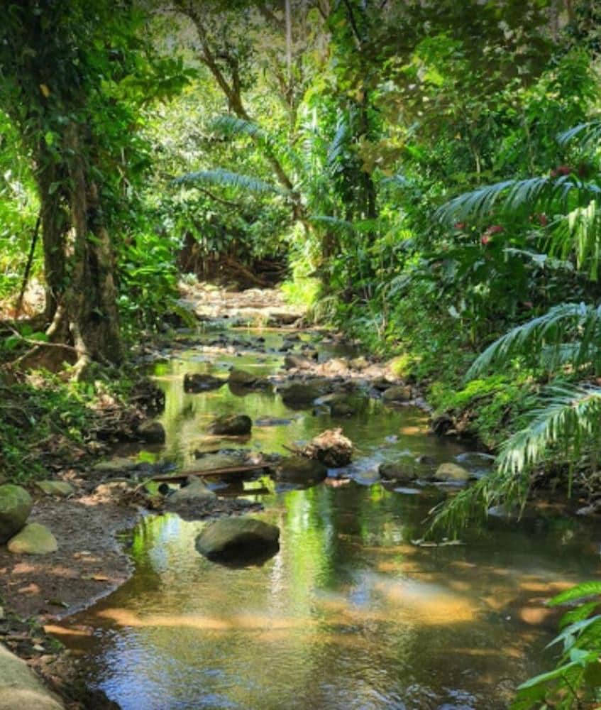 Cabinas Los Laureles