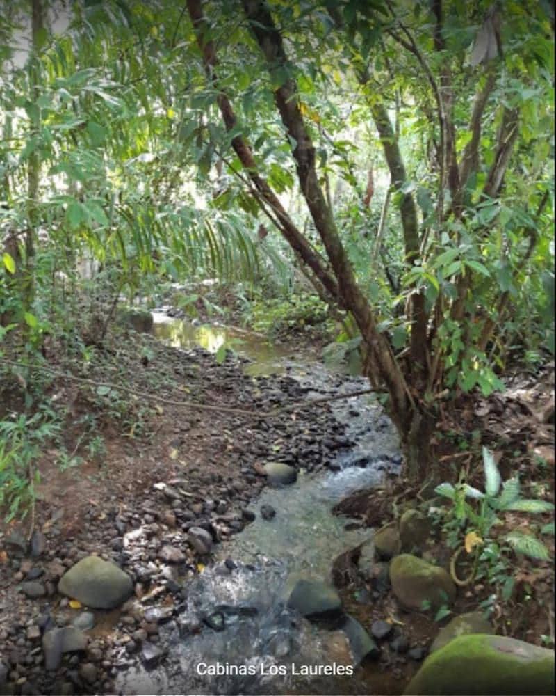 Cabinas Los Laureles
