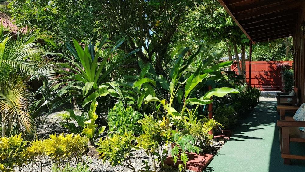 Mi Vida Lodge