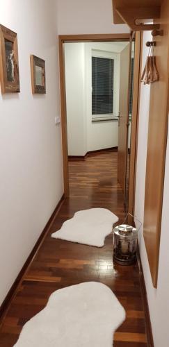 Apartmaji Vijolica