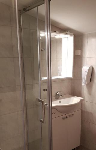 Apartmaji Vijolica