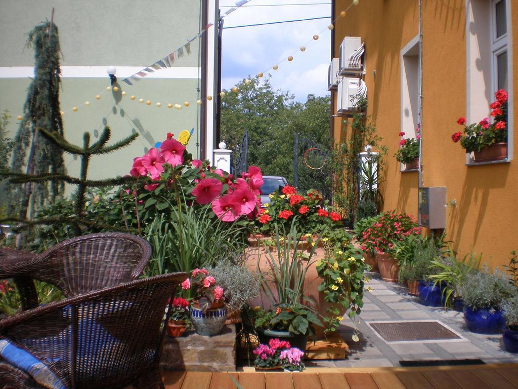 Hostel Sonce