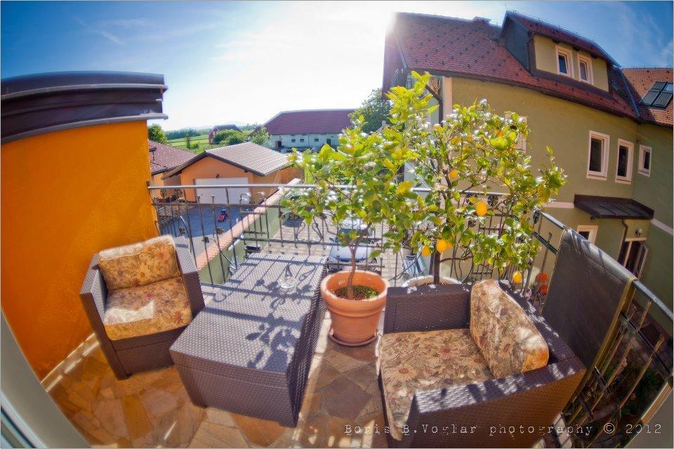 Hostel Sonce