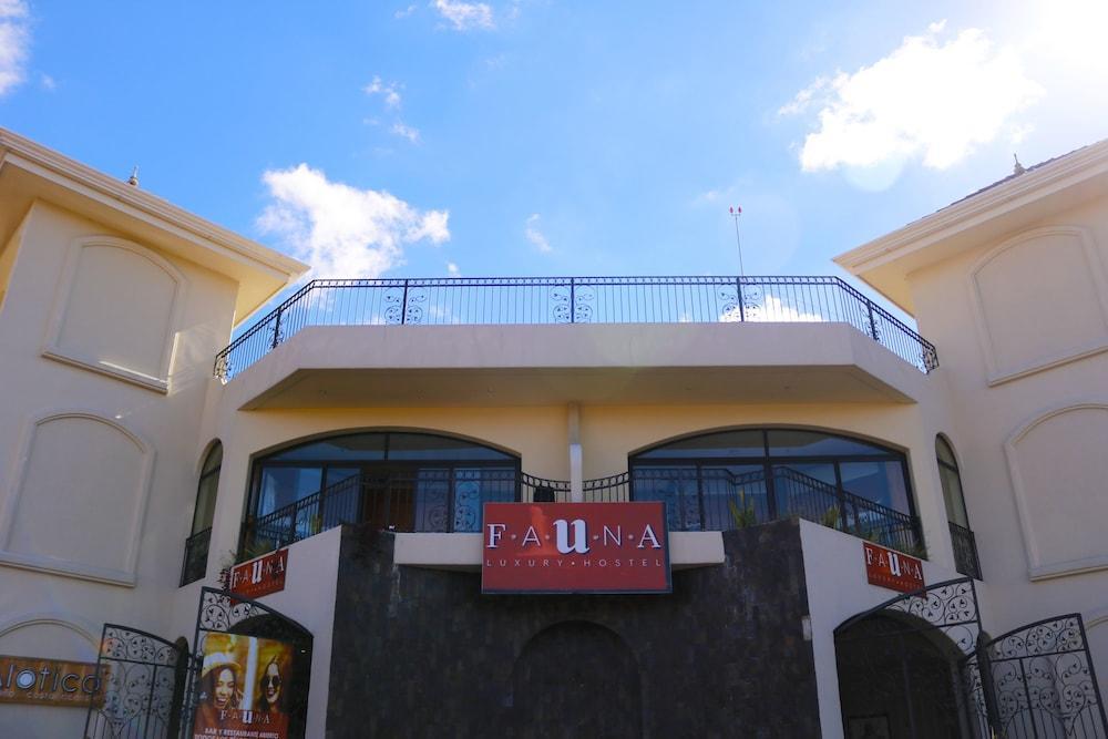 Fauna Luxury Hostel