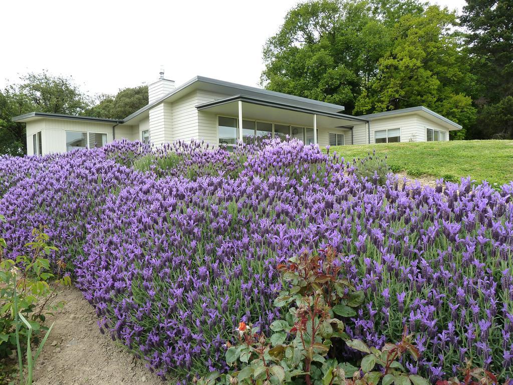 L'abri Bed and Breakfast