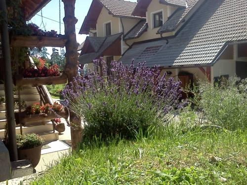 Pr'Dovar Guest House