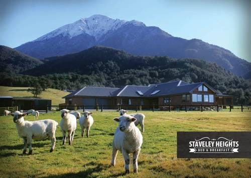 Staveley Heights Bed & Breakfast
