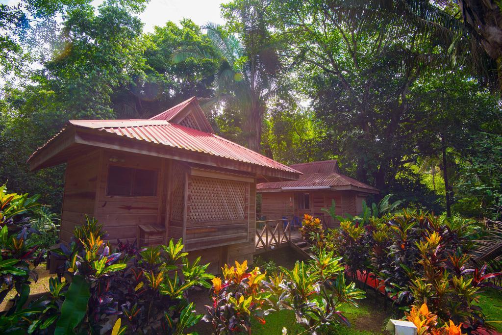 Hotel El Mono Feliz