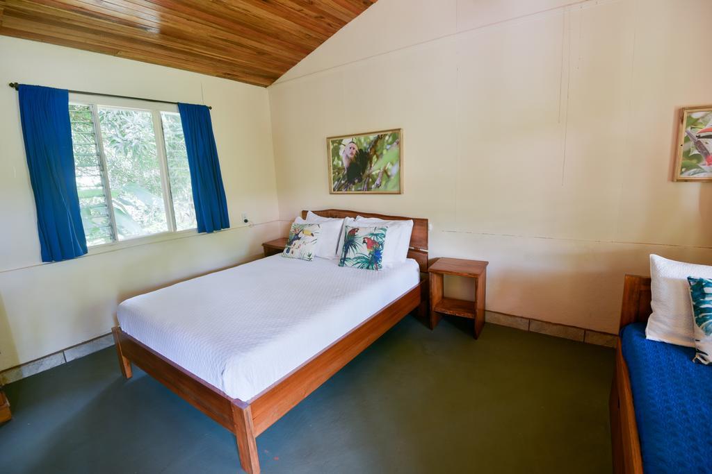 Hotel El Mono Feliz