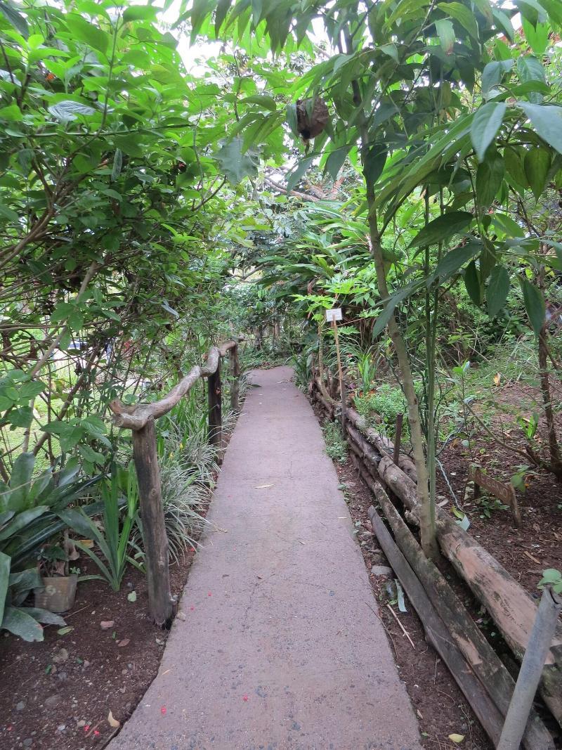 Rinconcito Verde