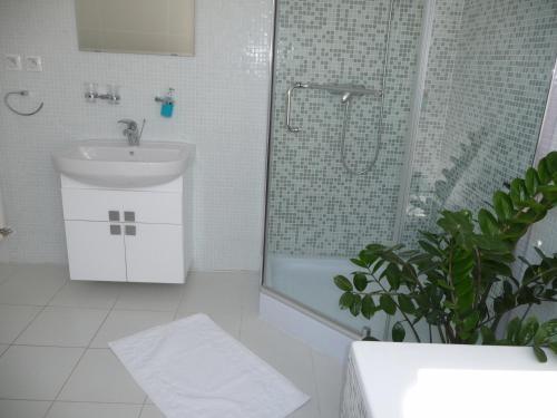Hotel Litovel