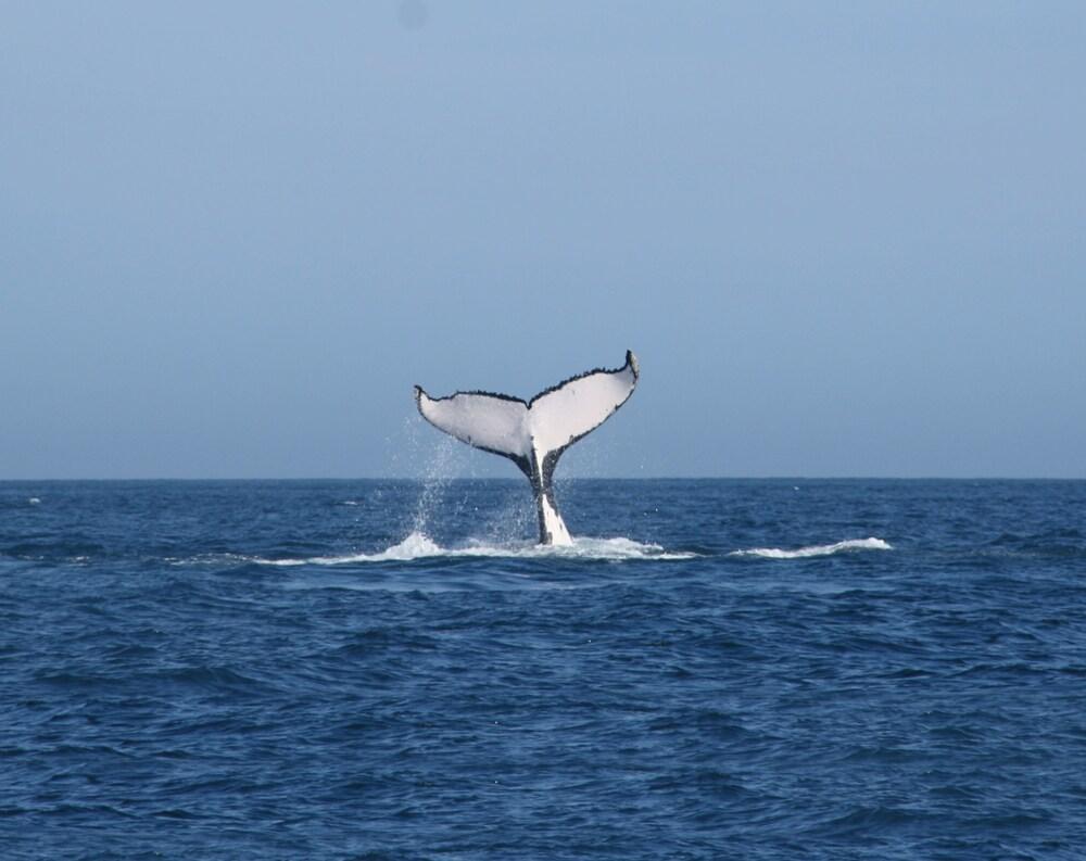 Las Cherelas Adventure & Fishing Club