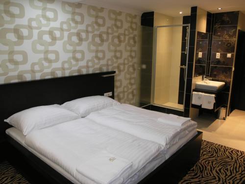Hotel Družba