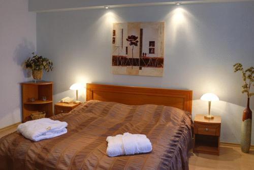 Hotel Družba