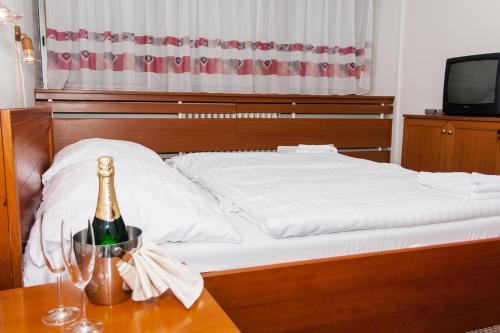 Hotel Družba