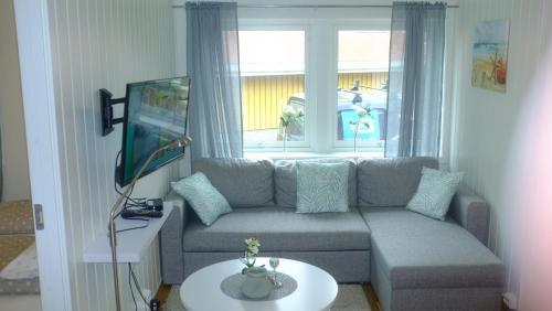 Ellingsen Apartment Falcks Gate