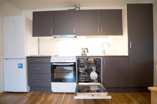 Ellingsen Apartment Falcks Gate