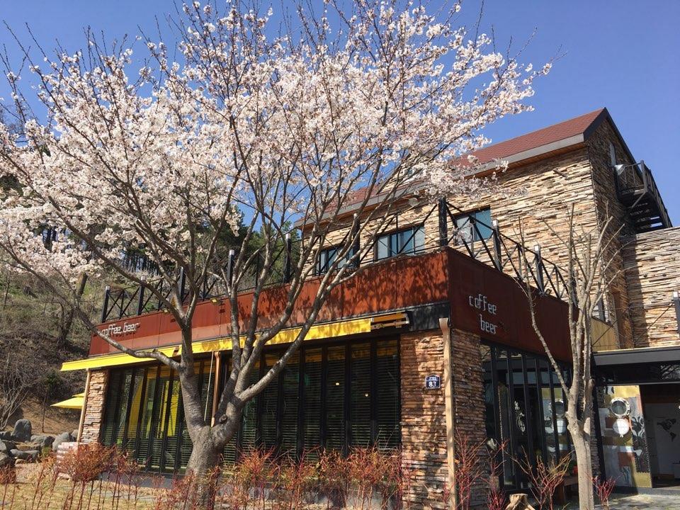 Andong Tom Sawyer's Adventure Pension