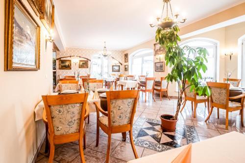 Hotel Squash