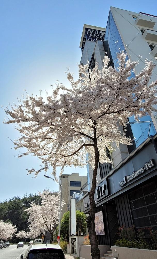 VIP Hotel