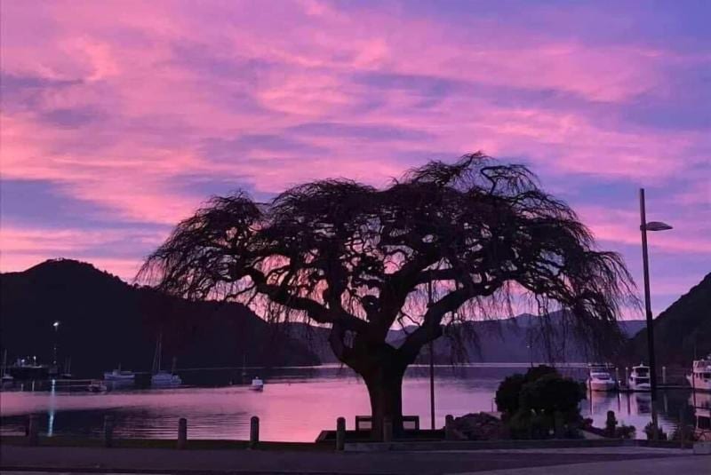 Piwaka Lodge And Backpackers