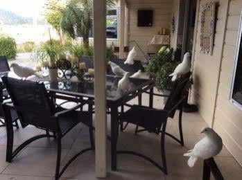 Paku Lodge at Tairua
