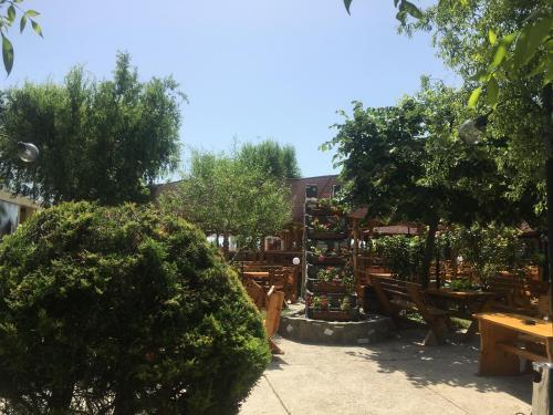 Hotel Poienita