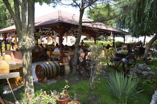 Hotel Poienita