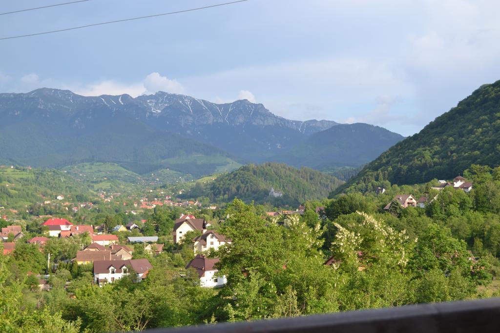 Inspire View
