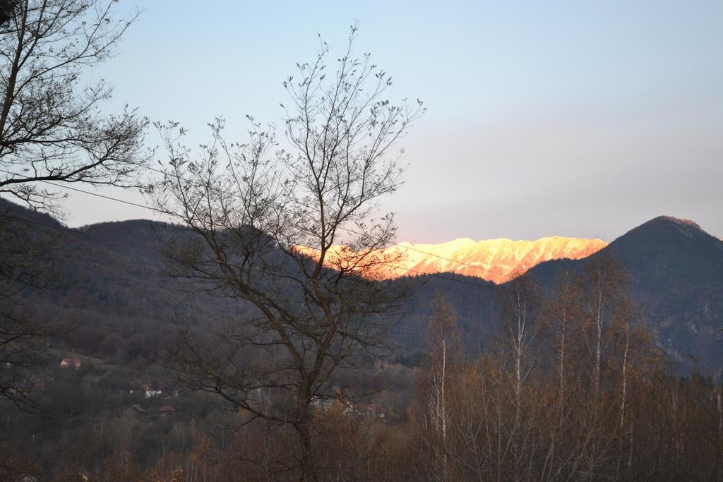Inspire View