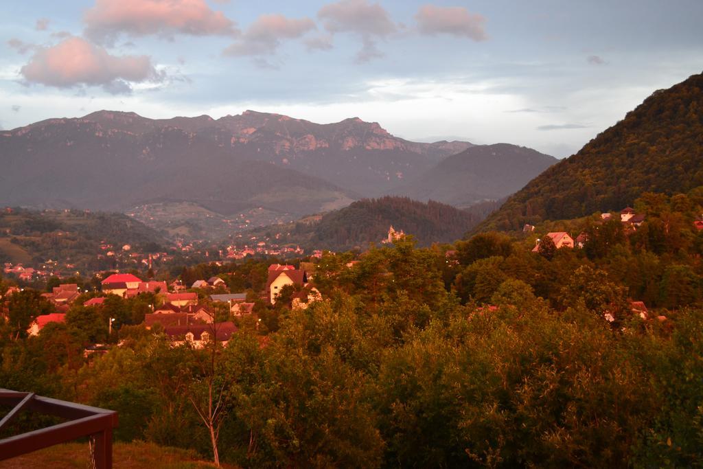 Inspire View