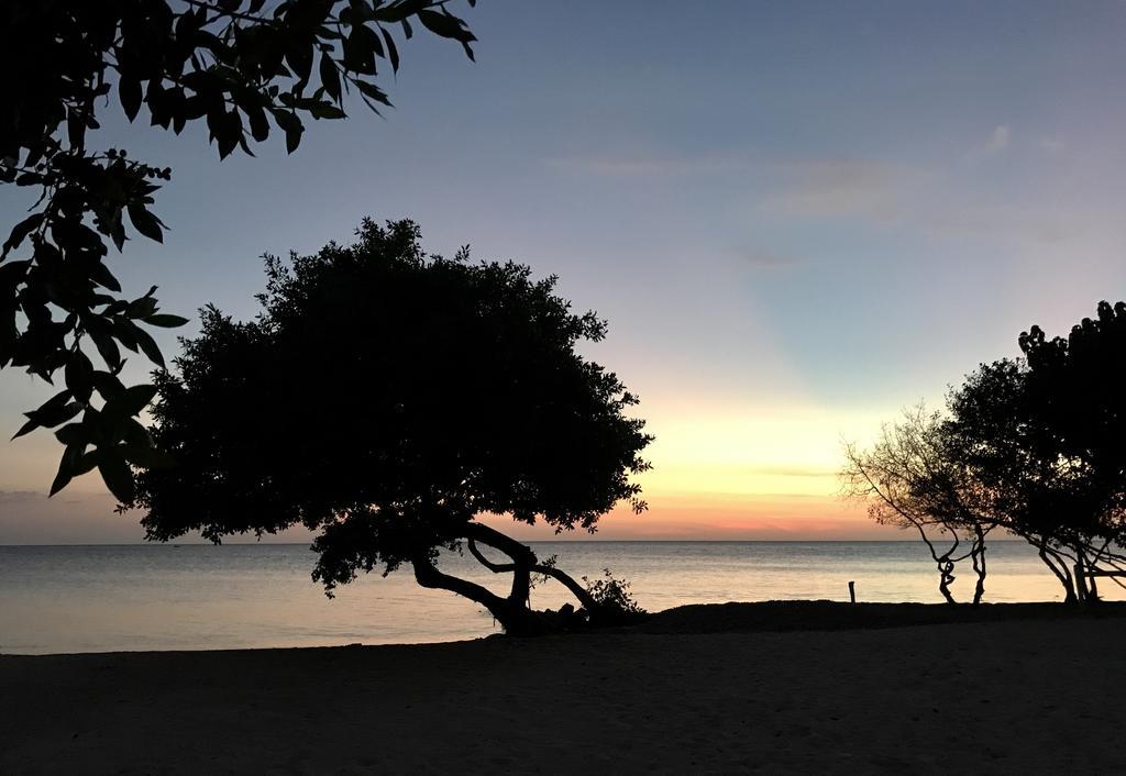Baru Playa Eco Beach Resort